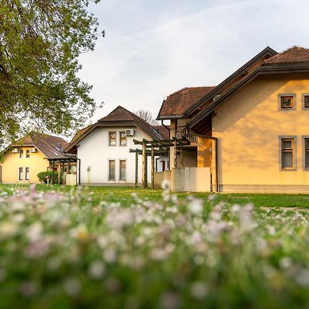 Terme Banovci - Hotelsko Naselje Zeleni Gaj Extérieur photo