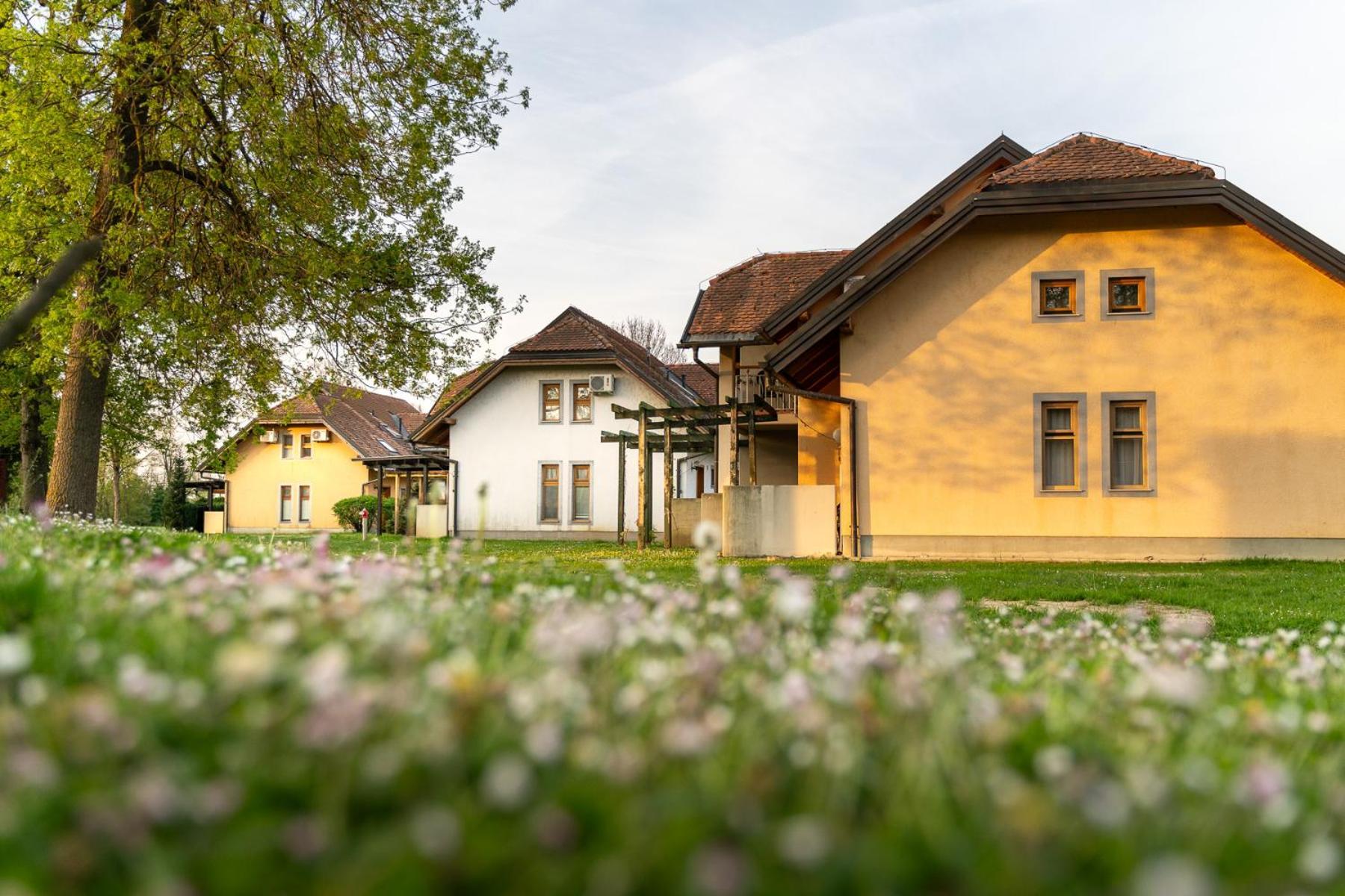 Terme Banovci - Hotelsko Naselje Zeleni Gaj Extérieur photo